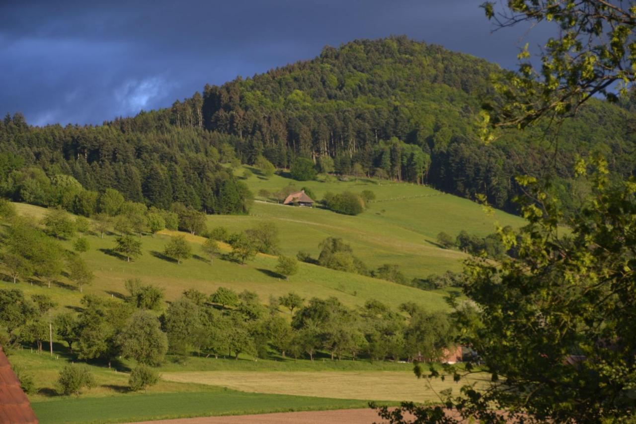 Haus Reichenbach Glottertal Exterior foto